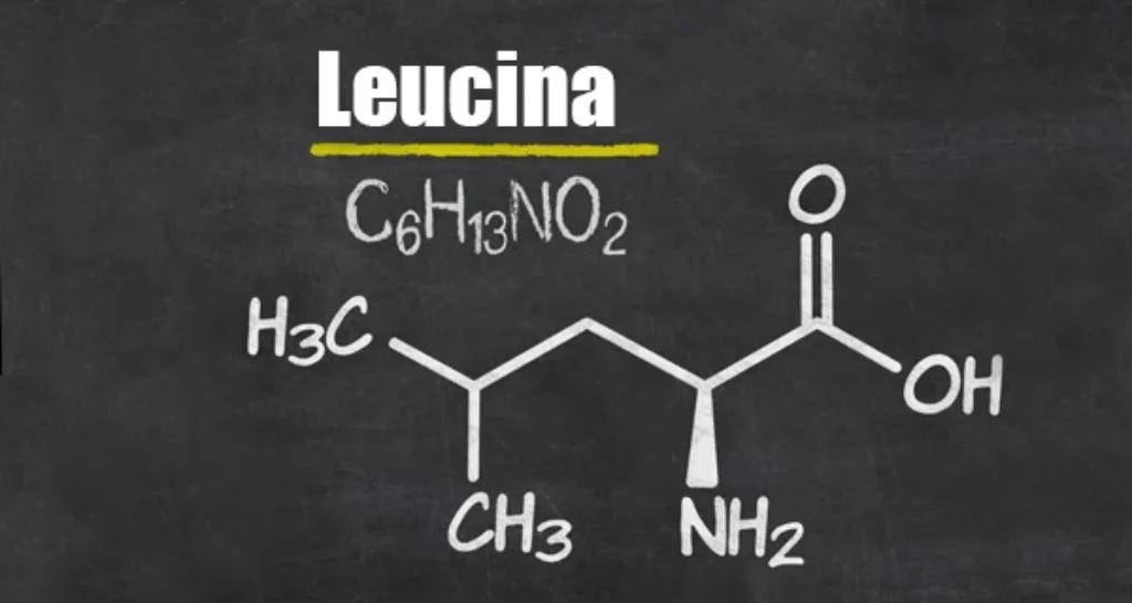 Leucina