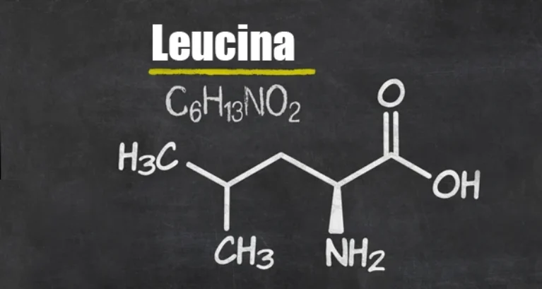Leucina