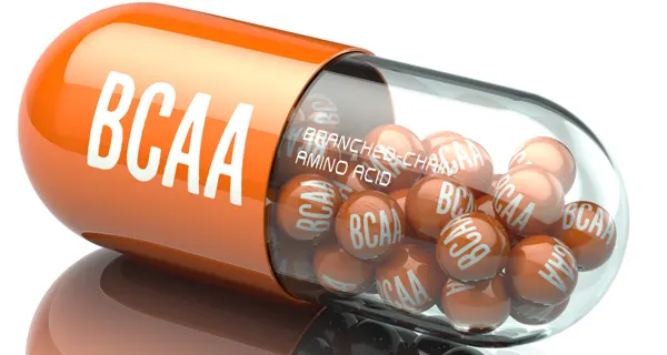 BCAA (Aminoácidos de Cadeia Ramificada)