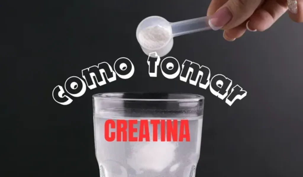 Como tomar creatinaSem categoria