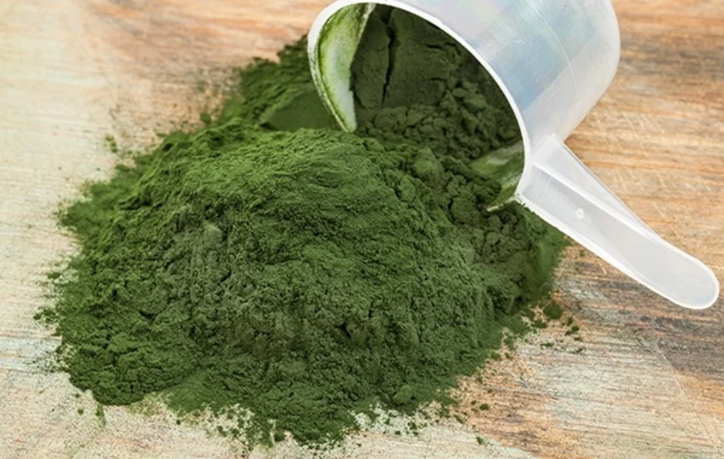Spirulina em Pó