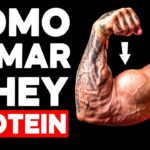 Como Tomar Whey Protein Para Ganhar Massa MuscularWhey Protein